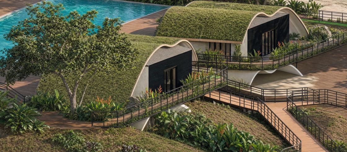 Render de bangalôs com cobertura verde orgânica e passarela de madeira
